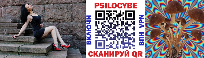Галлюциногенные грибы Magic Shrooms  Цивильск 